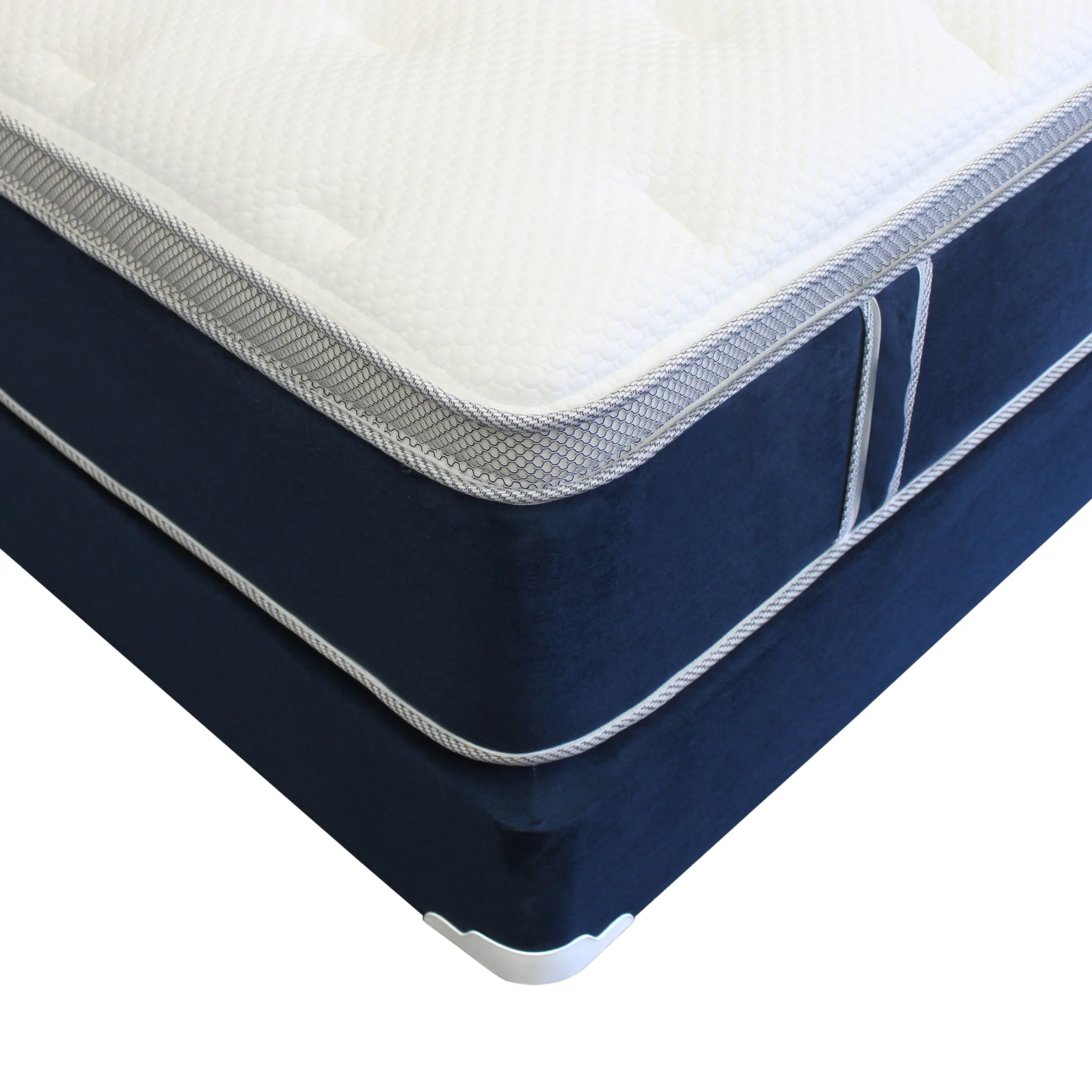 Moonlight_close_up_1024x1024